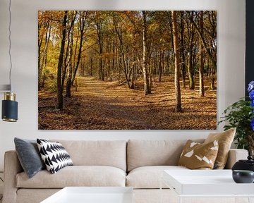Autumn walk by Johan Vanbockryck