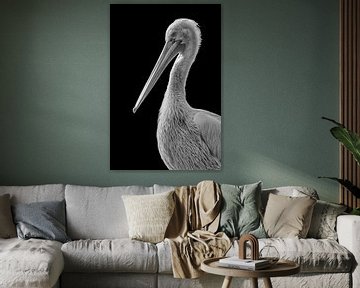 Pelican in black and white by Celina Dorrestein