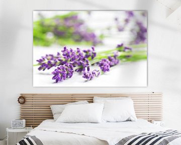 Summer Lavender Still Life by Tanja Riedel