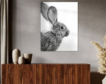 The rabbit von Marjorie van Zaane