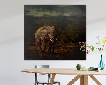Lone bull by Aya de Ruiter