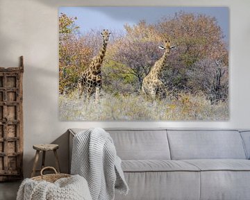 Giraffes at Etsha National Park van Jurgen Hermse