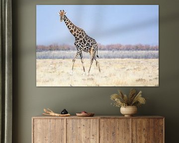 Giraffe in Etosha National Park van Jurgen Hermse