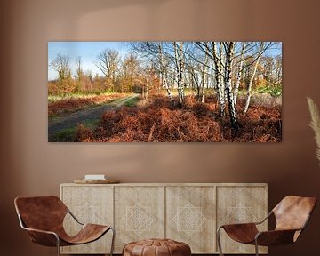 Landscape with birches by Corinne Welp