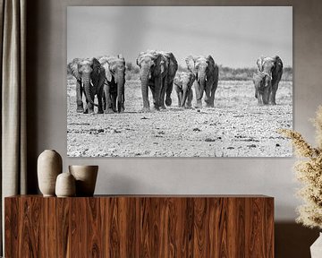 Elephants at Etosha National Park van Jurgen Hermse