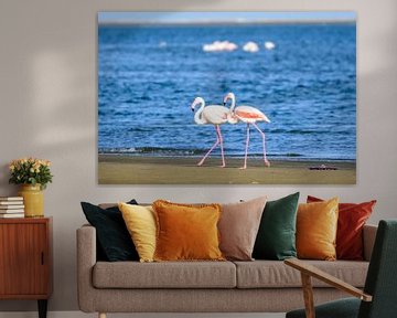 Flamingos in Walvisbay van Jurgen Hermse