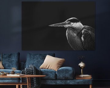Heron in black and white by Elianne van Turennout