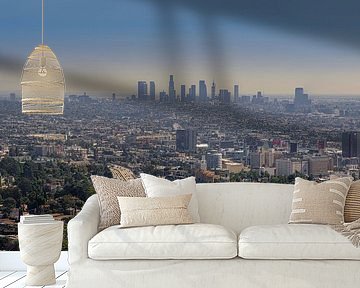 Los Angeles skyline from the Hollywood Hills by Toon van den Einde