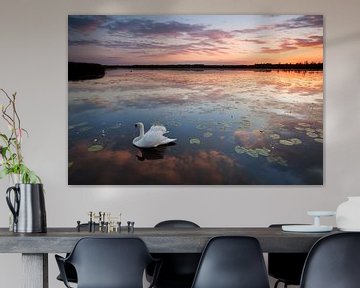 Swan at Lake - sunset - mood by Jiri Viehmann