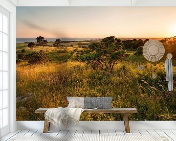 Eiland Mön Denemarken . Zonsondergang bij Aborrebjerg