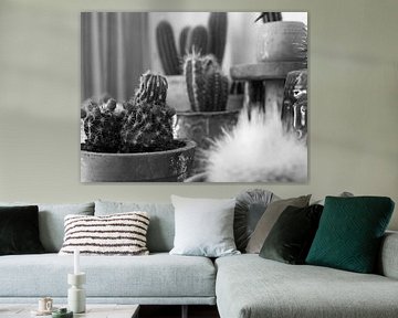 Een cactustuin in de woonkamer van Martijn Wit