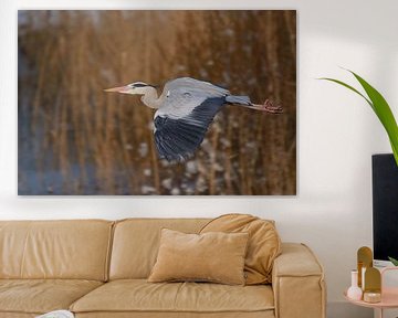 Vliegende reiger van Wil van der Velde