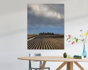 Lijnenpatroon aan de Friese Bildtdijk von Harrie Muis