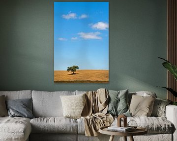 Landschap met een boom en een paar wolkjes in een blauwe lucht