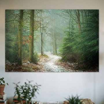 Durch die Kiefern von Martijn van Geloof