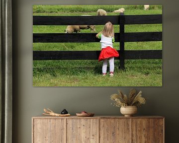 Meisje kijkt naar schapen door een hek van Mathieu van den Berk