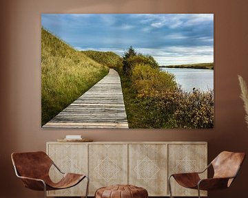 Lake on the North Sea island Amrum, Germany