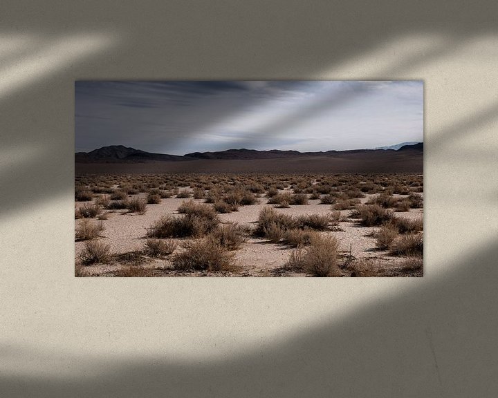 Sfeerimpressie: Californië woestijn van Jasper Verolme