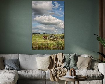 Hollands landschap met koeien in de wei en fraaie wolken