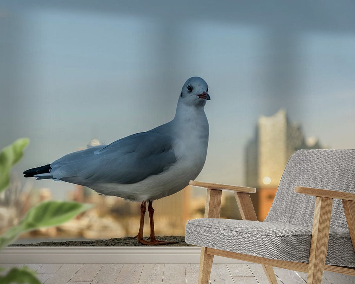 Raumvorschau