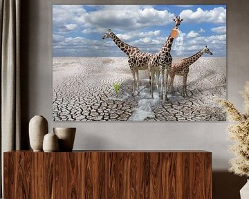 Giraffes van Jeannette Penris
