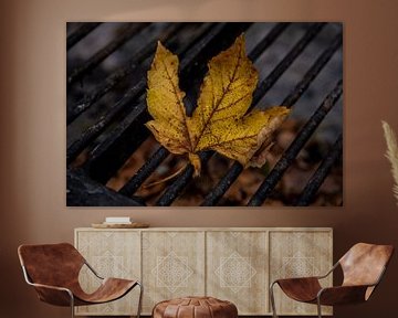 Maple leaf on the grill by Stefan Heesch