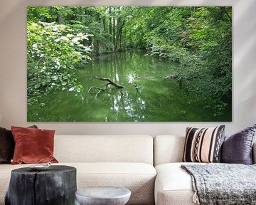Étang marécageux entouré d'arbres et de buissons. Domaine de Kruikenburg, Ternat, Belgique