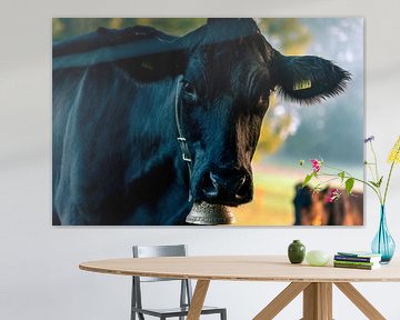Black Cow van Stefan Heesch