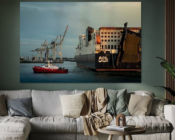 Aperçu de la chambre