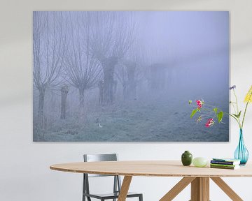 Knotwilgen in de mist von Arno-Jan Boere