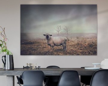 Serene Schaap op Winterse Heide - Natuurfoto voor Rustgevend Interieur van Elianne van Turennout