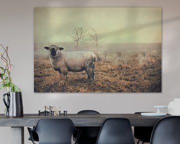 Sheep in the arid by Elianne van Turennout