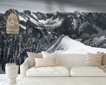 Vallée Blanche in Chamonix by Menno Boermans