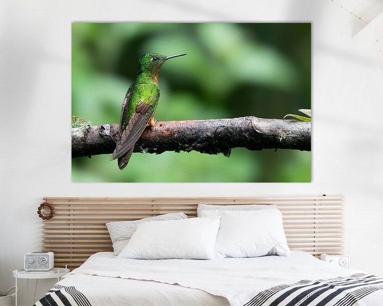 Aperçu de la chambre