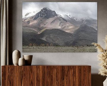 Les gardiens du Chimborazo