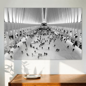 Symmetry and Light - Oculus New York in Black and White