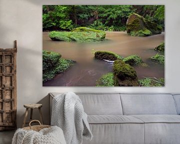 La rivière Irreler dans l'Eifel en Allemagne au printemps. sur Rob Christiaans