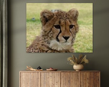 Cheetah close-up van Marion van Kints