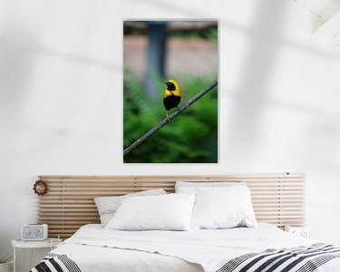 Aperçu de la chambre