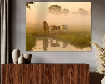 Cows in the pastores with mist by Wilma van Zalinge