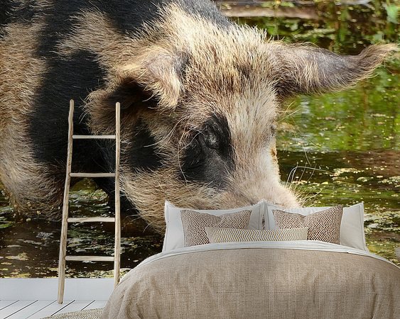 Voorbeeld van het werk in een kamer