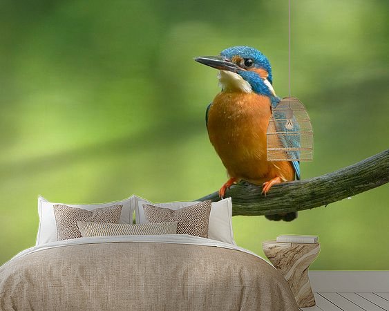 Aperçu de la chambre