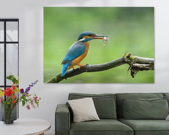 Aperçu de la chambre