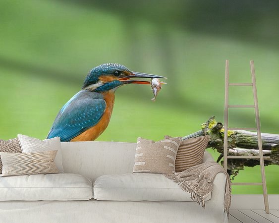 Aperçu de la chambre