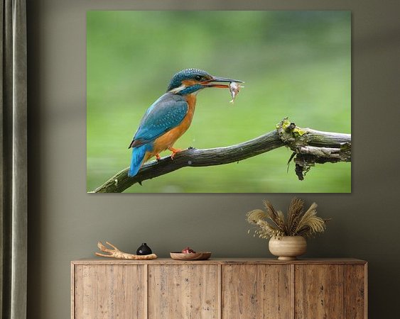 Aperçu de la chambre