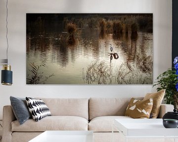 Die Purmerender Sumpfgebiete