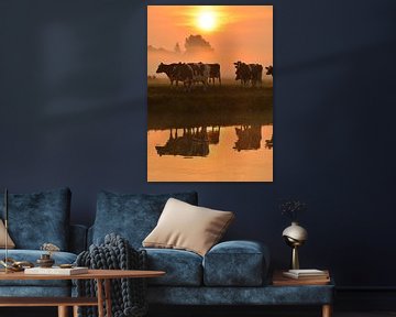 Koeien bij zonsopkomst.