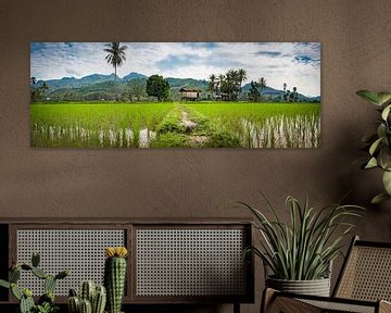 Wide panoramic landscape with rice fields, North Laos by Rietje Bulthuis