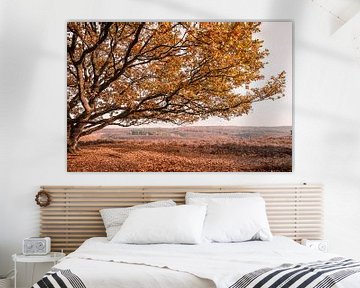 Eik in de herfst op glooiend heide landschap van Mayra Fotografie