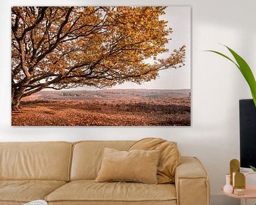 Eik in de herfst op glooiend heide landschap van Mayra Fotografie